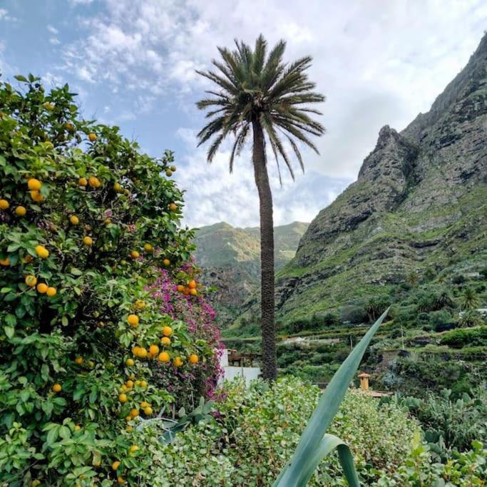Villa Tamadaba Agaete  Exteriér fotografie
